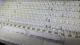White Plastic Conveyor Belting 8' 6" L X 1' 1 1/8" W