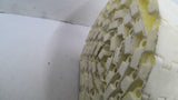 White Plastic Conveyor Belting Calculated Not Measured 5'L X 12" W