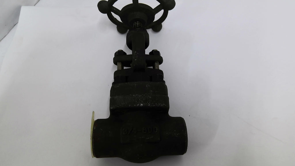 Warren FIG 852T Globe Steel Gate Valve 1975PSI Class 800LBS 3/4" Body A105N