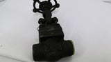Warren FIG 852T Globe Steel Gate Valve 1975PSI Class 800LBS 3/4" Body A105N