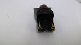 Allen Bradley 800T-QH24R Pilot Light 24VAC Lamp No N319R