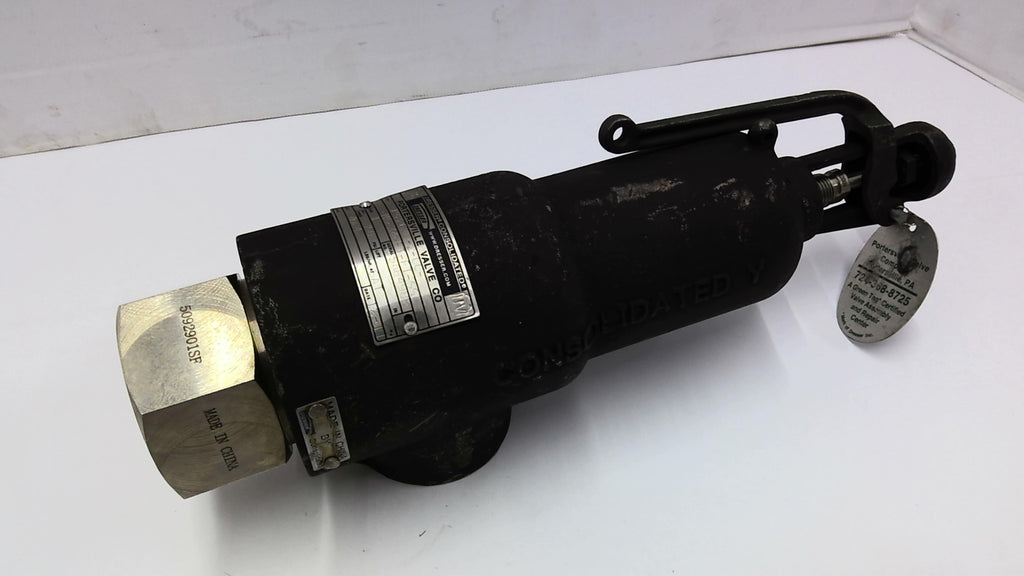 Dresser Consolidated 19226MC-2-CC-MS-34-FT-FT-SS Relief Valve