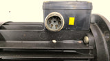 Grundfos MTH 4-6/6-A-W-A-AQQV Immersible Pump 3Hp 220-277D/380-480Yv 3500Rpm 3Ph