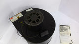 Dayton 1TDU2 1/2HP Blower 115/230V 50/60HZ 1320/1380RPM