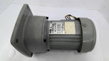 Nissel GTR G3F22.N080-UTM020WN 3-Phase Induction Gear Motor 20:1 Ratio 440V