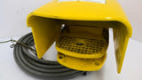 Dorner 75-20 403411-01 Foot Switch