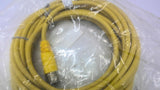 Allen Bradley 889M-F12X9AE-10 Cord Set 12 Pin Straight Female