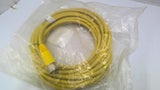 Allen Bradley 889M-F12X9AE-10 Cord Set 12 Pin Straight Female