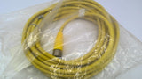 Allen Bradley 889M-F12X9AE-10 Cord Set