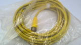 Allen Bradley 889M-F12X9AE-10 Cord Set