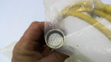 Allen Bradley 889M-F12X9AE-2 12 Pin Straight Female Cord Set 2M