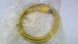 Allen Bradley 889M-F12X9AE-2 12 Pin Straight Female Cord Set 2M