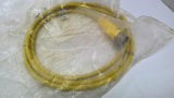 Allen Bradley 889M-F12X9AE-2 12 Pin Straight Female Cord Set 2M