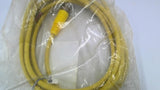 Allen Bradley 889M-F12X9AE-5 M23 12 Pin Straight Female Cord Set 5M