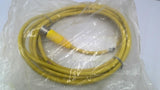 Allen Bradley 889M-F12X9AE-5 M23 12 Pin Straight Female Cord Set 5M