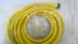 Brad 1300061171 Mini Change 5 Pole Female Straight To Pig Tail Cordset
