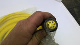 Brad 1300061171 Mini Change 5 Pole Female Straight To Pig Tail Cordset