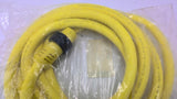 Brad Connectivity 1300000086 Quick Change Cordset 12'