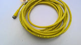 Wood head Brad Harrison Micro Chang M12 Cable 20 FT