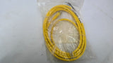 Turck PKG 3M-2 Picofast Cordset U2515-29