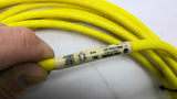 Allen Bradley 889n-F5AE-20 Mini Cable