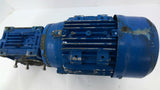 Techtop MS712-4 B14 0.40 KW Industrial Elle Gi 0150406 4G Worm Gear Motor