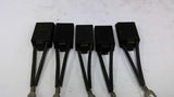 ACI Carbon Brush NA45568Set of 5