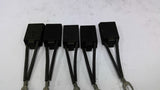 ACI Carbon Brush NA45568Set of 5