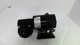 Bodine 6127JXCQ0012 Right Angle DC Gear Motor 1/12HP 130 Volts 30:1 Ratio