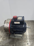 Wanner S10XKSESFHCC Hydra-Cell Pump