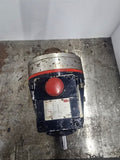 Wanner S10XKSESFHCC Hydra-Cell Pump