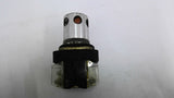 Allen Bradley 800T-QALIOR Illuminated Push Button Switch Amber