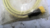 Turck EKRT-ESRT-A4.400-WA2Y-1 Industrial Cordset