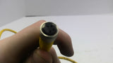 Turck PKG 4M-2-PSG 3M Industrial Cordset
