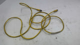 Turck PKG 4M-2-PSG 3M Industrial Cordset