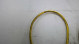 Turck PKG 4M-2-PSG 3M Industrial Cordset