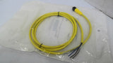 Allen Bradley 889D-F4AC-2 Photoelectric Proximity Sensors 2-Meter