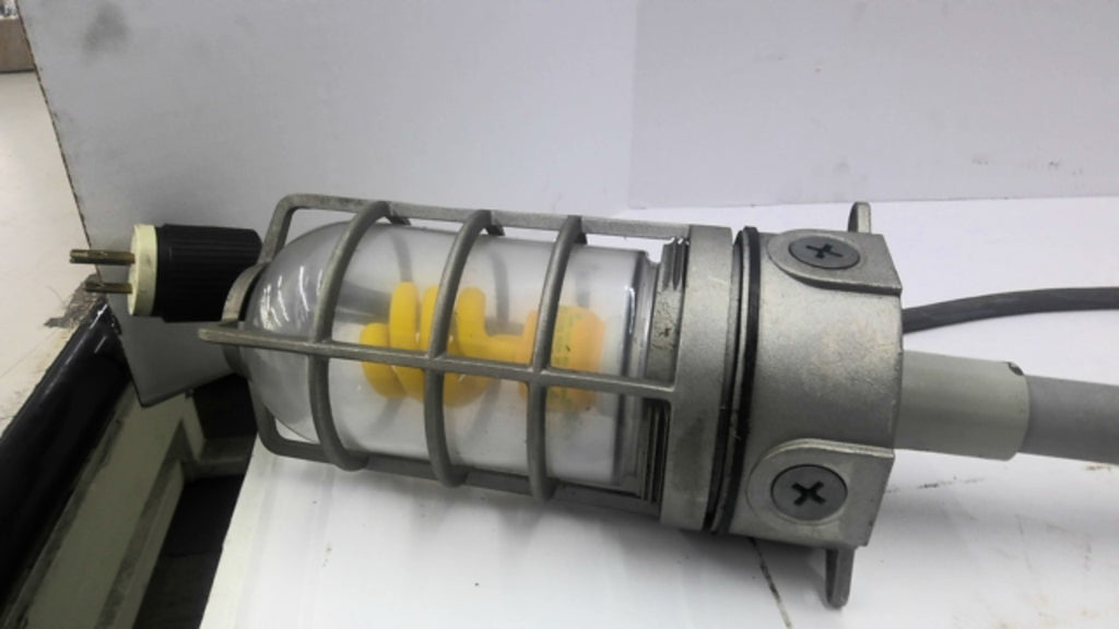 E981EFN Industrial Roof Light Fixture