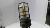 E981EFN Industrial Roof Light Fixture