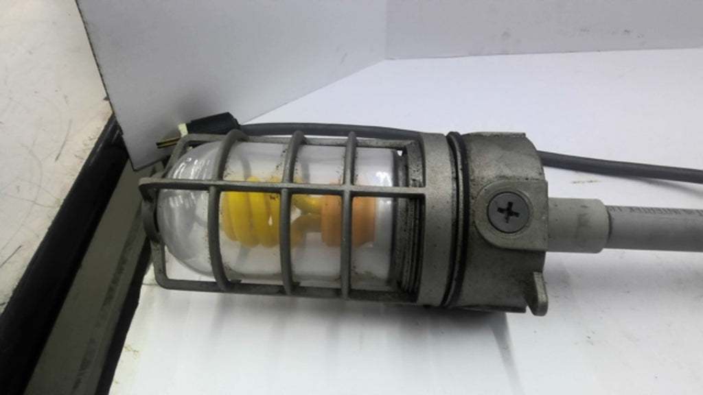 E981EFN Industrial Roof Light Fixture 15 Amp