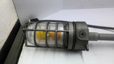 E981EFN Industrial Roof Light Fixture 15 Amp