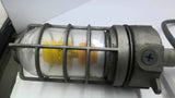 E981EFN Industrial Roof Light Fixture 15 Amp