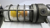 E981EFN Industrial Roof Light Fixture 15 Amp