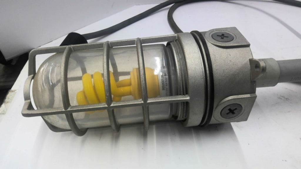 E981EFN Industrial Roof Light Fixture 15 Amp 125 Volt