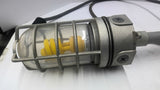 E981EFN Industrial Roof Light Fixture 15 Amp 125 Volt