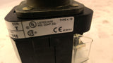 Allen-Bradley 800T-PA16 Illuminated Push Button