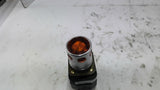 Allen-Bradley 800T-PA16 Illuminated Push Button