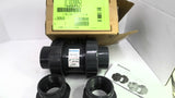 Hayward TC10200ST 2" PVC TC Check Ball Valve