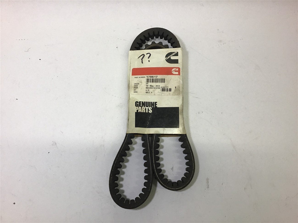 Cummins 178617 Belt