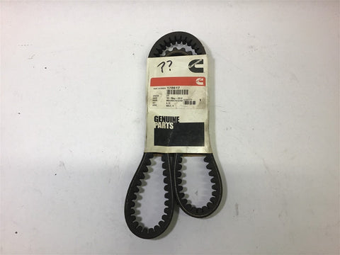 Cummins 178617 Belt